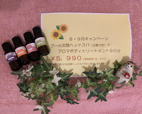 ８・９月キャンペーン９０分セットコース